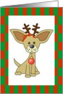 Chihuahua Christmas card