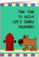 Take Time To Enjoy