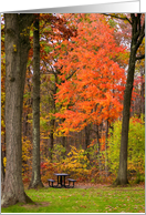 Autumn Picnic for a Friend card