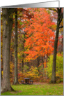 Autumn Picnic for a Friend card