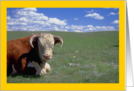 Shoot the Bull card
