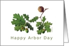 Happy Arbor Day English Oak delicate accurate illustration card