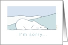 Apology - I’m sorry Polar Bear Card