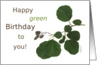 Happy Green Birthday Alder Card