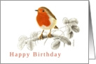 Accurate Robin on Raspberry branch Illustration Birthday Card