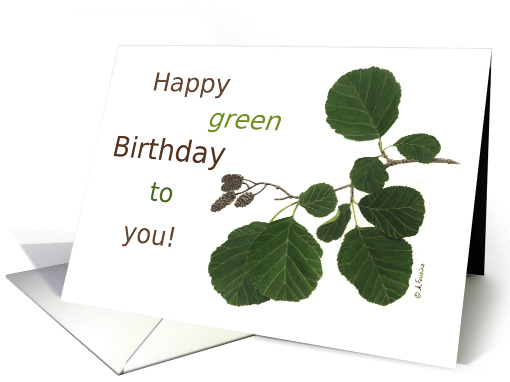 Happy Green Birthday Alder card (1086648)