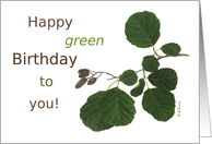Happy Green Birthday...