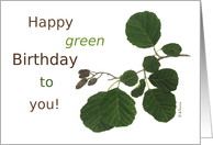 Happy Green Birthday Alder Card