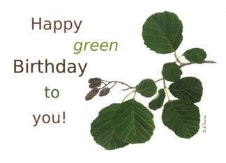 Happy Green Birthday...