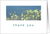 Thank you aquatic four-leaf clover card
