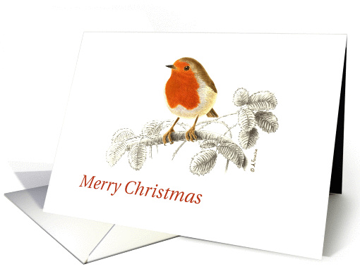Accurate Robin on Raspberry branch Illustration Merry Christmas card