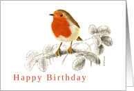 Accurate Robin on Raspberry branch Illustration Birthday Card