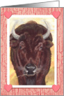 Buffalo Bison Hearts Happy Valentines Day card