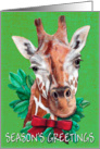 Giraffe Custom Card Design card