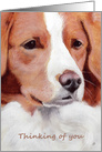 Nova Scotia Duck Toller Retriever Dog Painting Thinking of You card