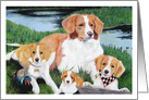 Nova Scotia Duck Tollers Retriever Dogs Pet Painting card