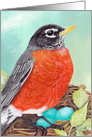 Robin’s Nest Bird Painting Cheerful Encouragement Message card