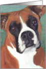 Boxer Dog Breed Painting card