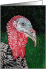 Wild Turkey Painting Thanksgiving Wishes card