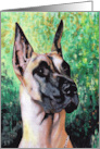 Great Dane Dog Breed Any Occasion Pet Art Painting card