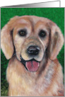 Happy Birthday Wishes Golden Retriever Dog Breed card