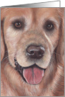 Golden Retriever Dog Any Occasion Pet Painting card