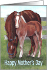 Mother’s Day Love for Mom Mare and Colt in Pasture card