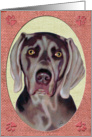 Weimaraner Dog Portrait card
