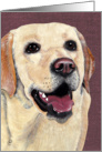 We LAB ’ADORE’ You Appreciation Greeting card