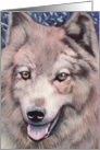Wolf Wildlife Painting Portrait card