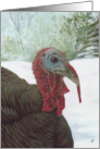 Turkey Narragansett Wild Bird Winter Painting Christmas Greetings card