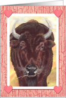 Buffalo Bison Hearts Happy Valentines Day card