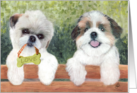 Shih Tzu Dogs Love Bone Ornament Any Occasion card