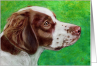 Brittany Spaniel Dog Painting card