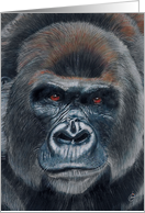 Silverback Gorilla Painting card