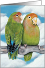 Lovebird Parrots Painting card