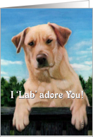 I Lab 'adore' You
