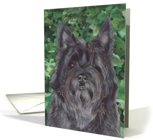 Cairn Terrier Dog Painting card (133766)
