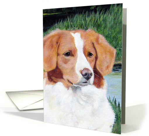 Nova Scotia Duck Toller Retriever Dog Painting Birthday card (1462496)