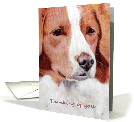 Nova Scotia Duck Toller Retriever Dog Painting Thinking of You card