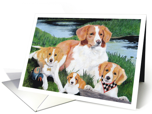 Nova Scotia Duck Tollers Retriever Dogs Pet Painting card (1564546)