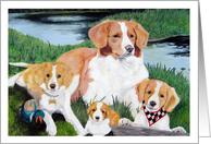 Nova Scotia Duck Tollers Retriever Dogs Pet Painting card