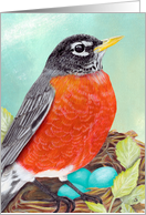 Robin’s Nest Bird Painting Cheerful Encouragement Message card