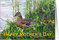 Mother's Day Duck...