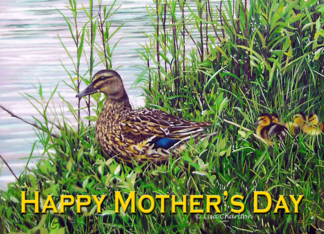 Mother's Day Duck...