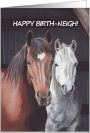 Happy Birth Neigh...