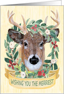 Season’s Greetings Holiday Wildlife Deer Winter Wreath card