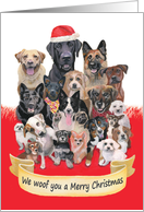 Christmas from or for Dog Walker Trainer Sitter card