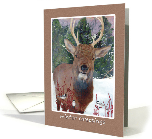 Thinking of You Winter Greetings Elk and Chickadee card (1899748)