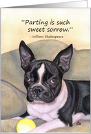 Pet Sympathy Boston Terrier Dog Shakespeare Quote card